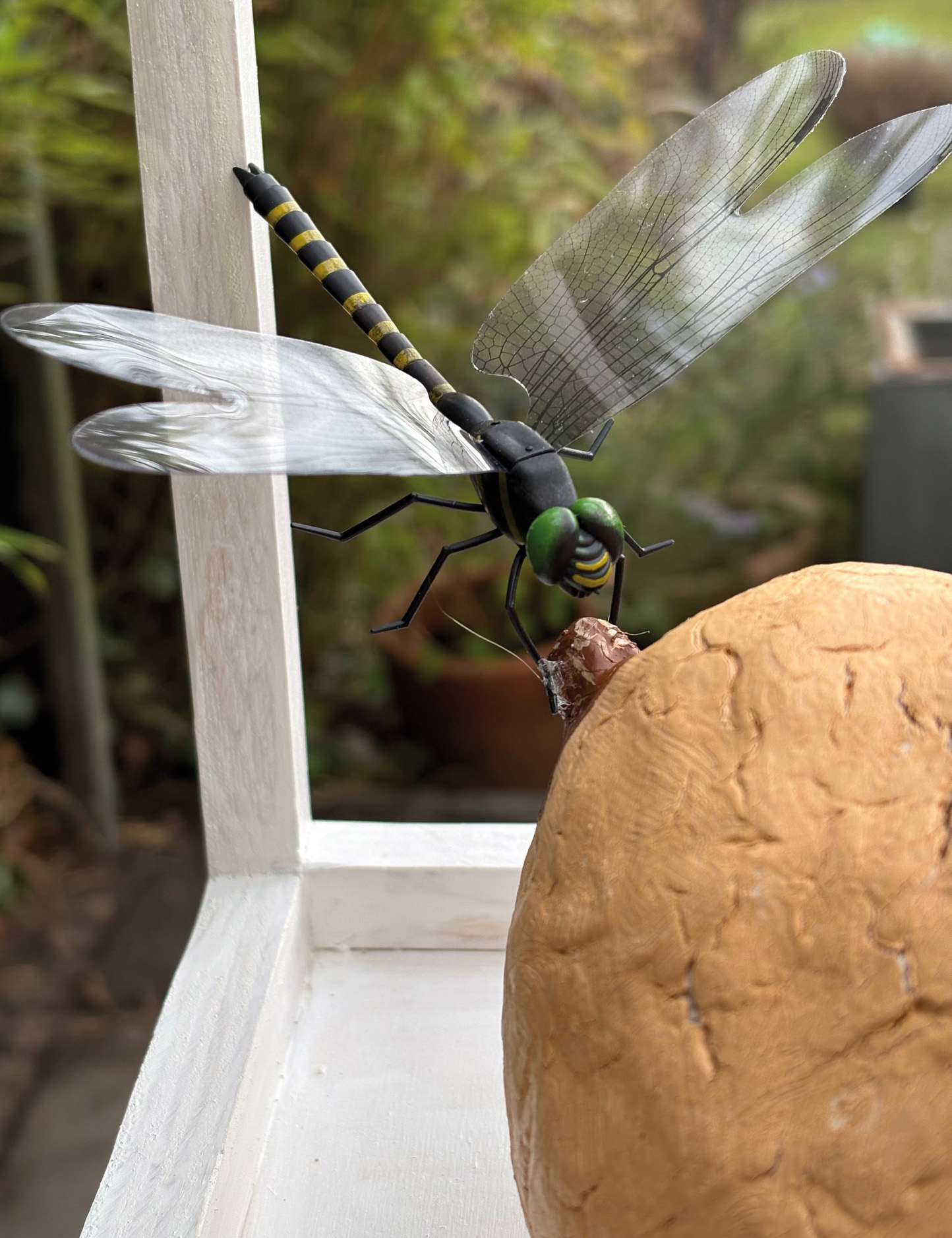 Libelle auf meiner Haut
